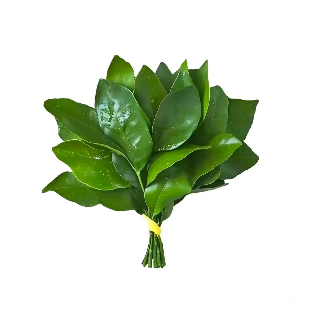 小面