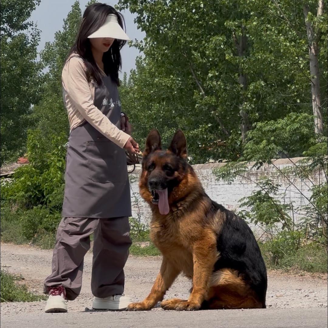 犬场女骑手