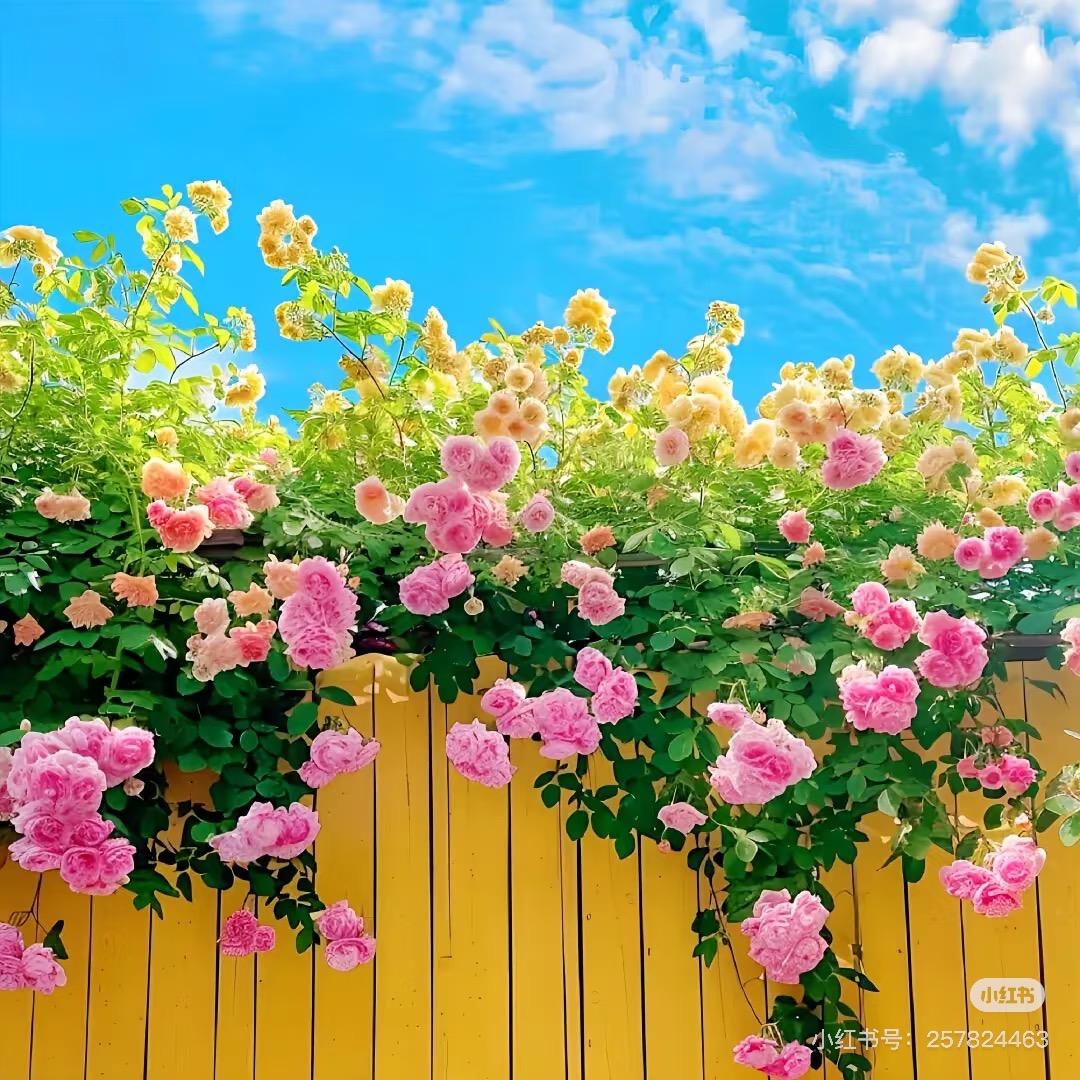 棠熙百货综合好物精选