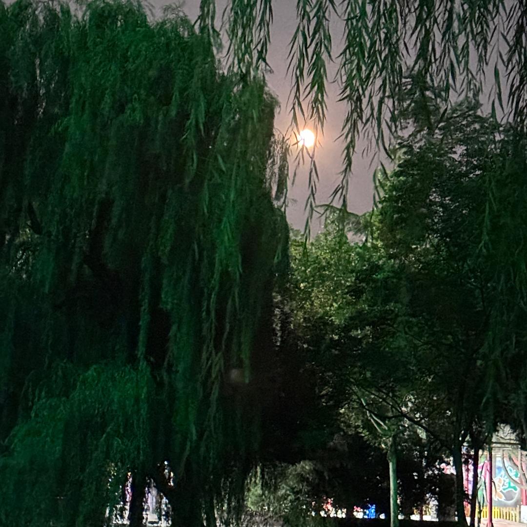 八月
