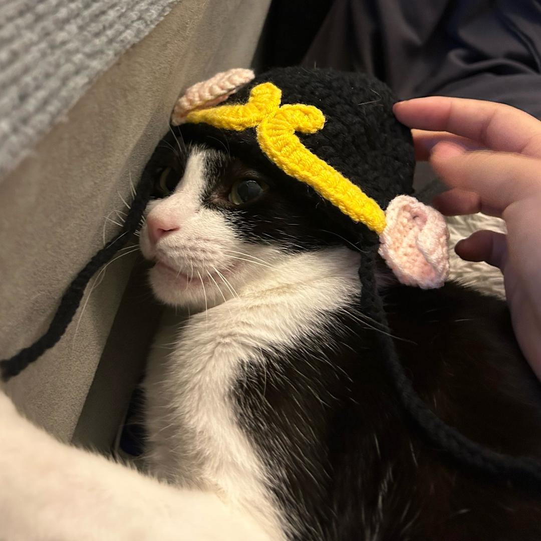 豹豹猫妈头像