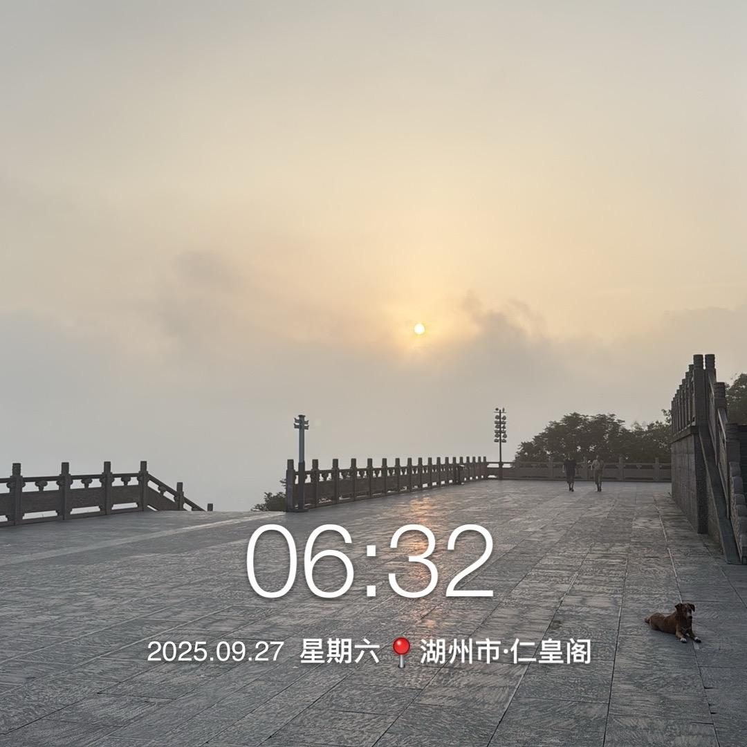 智者不入爱河