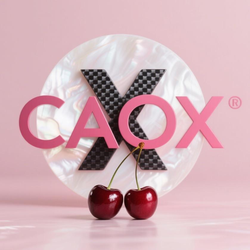 CAOX·O机器人主机互动