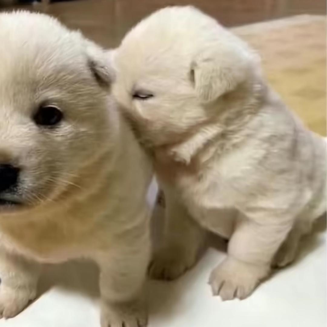 略略