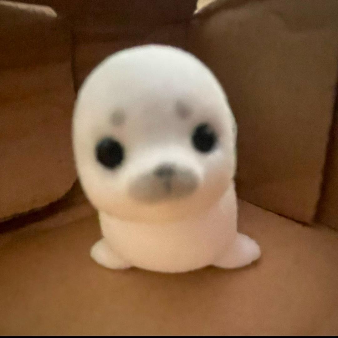 uuovo