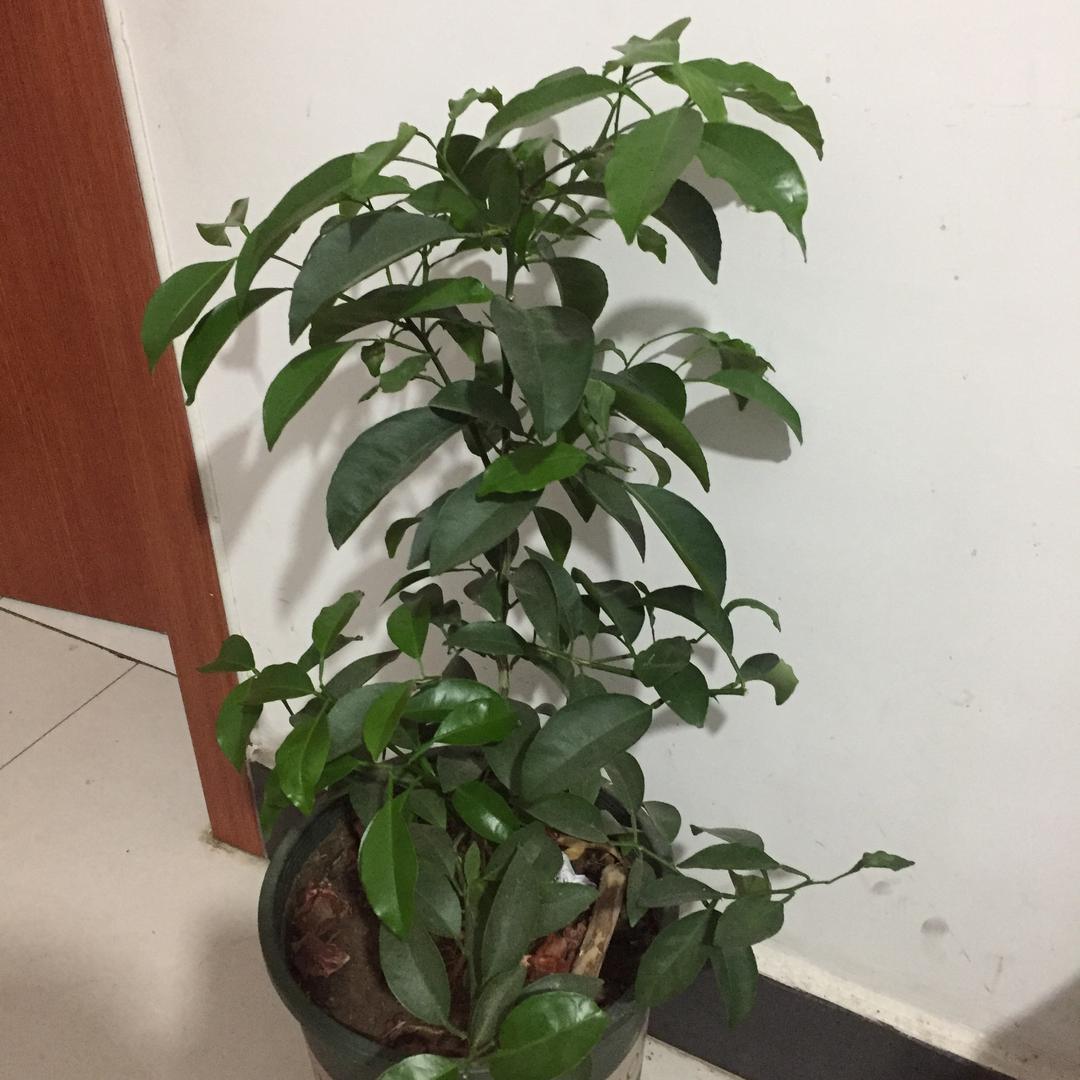 用户，知足长乐