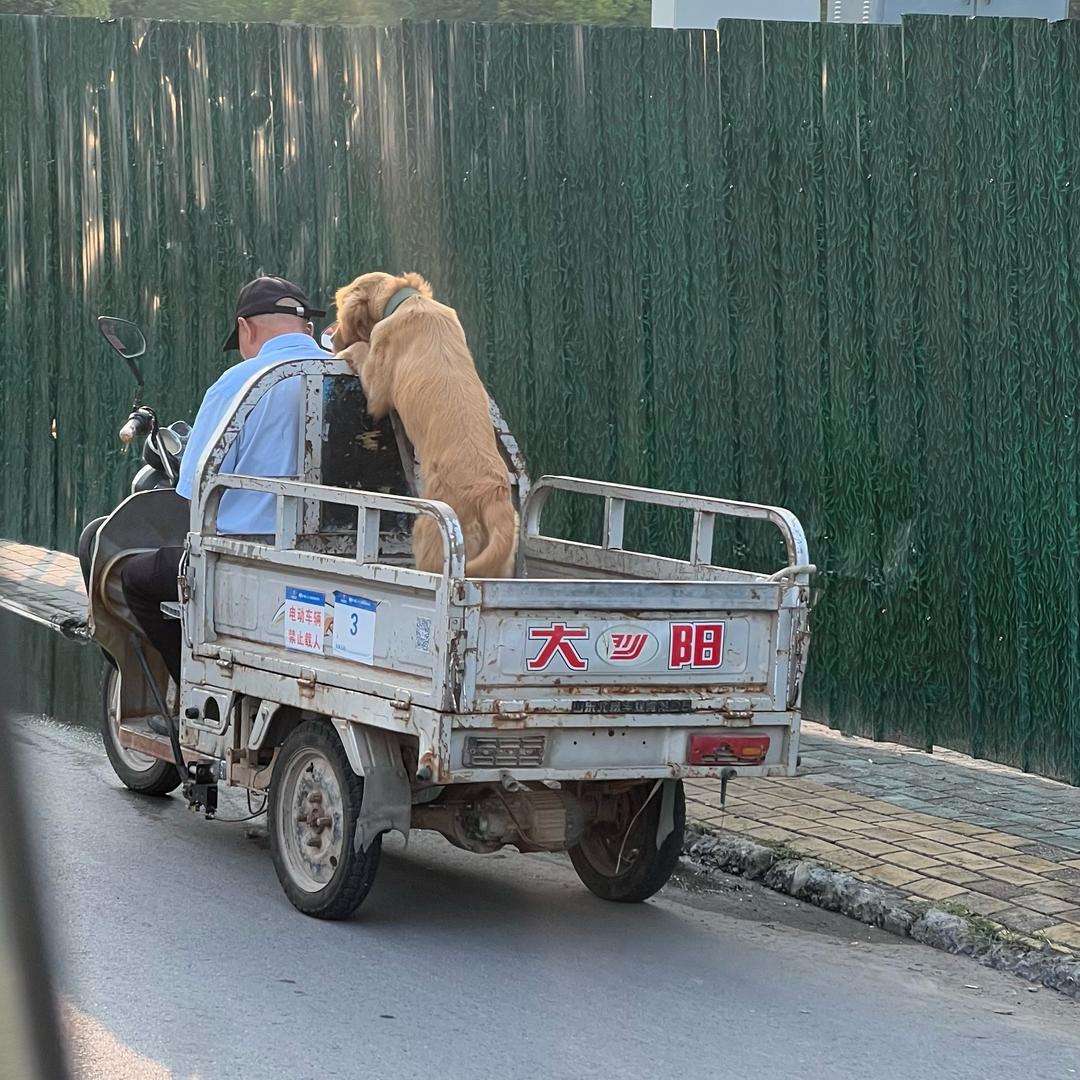 ...行行行