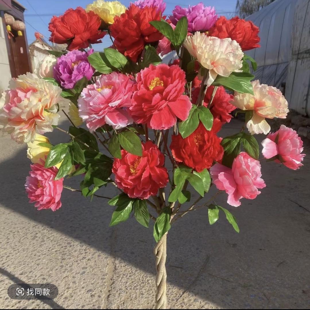 家花果树苗木专营店