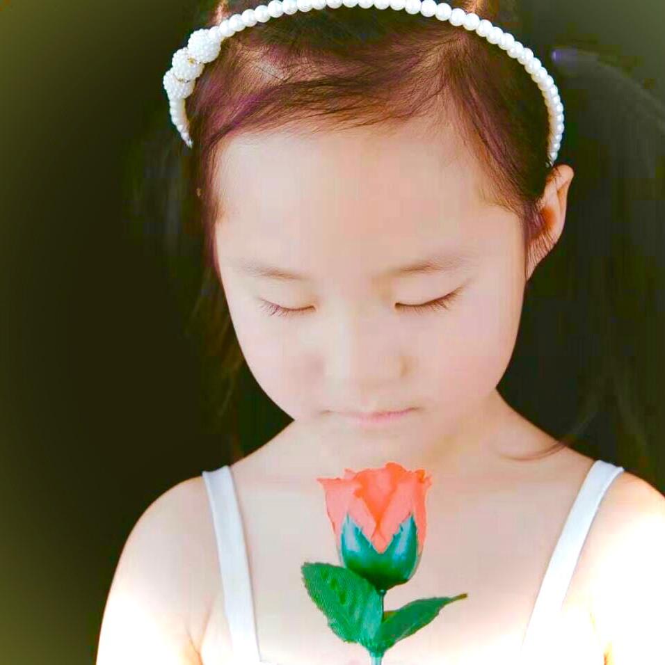 吟风芥尘