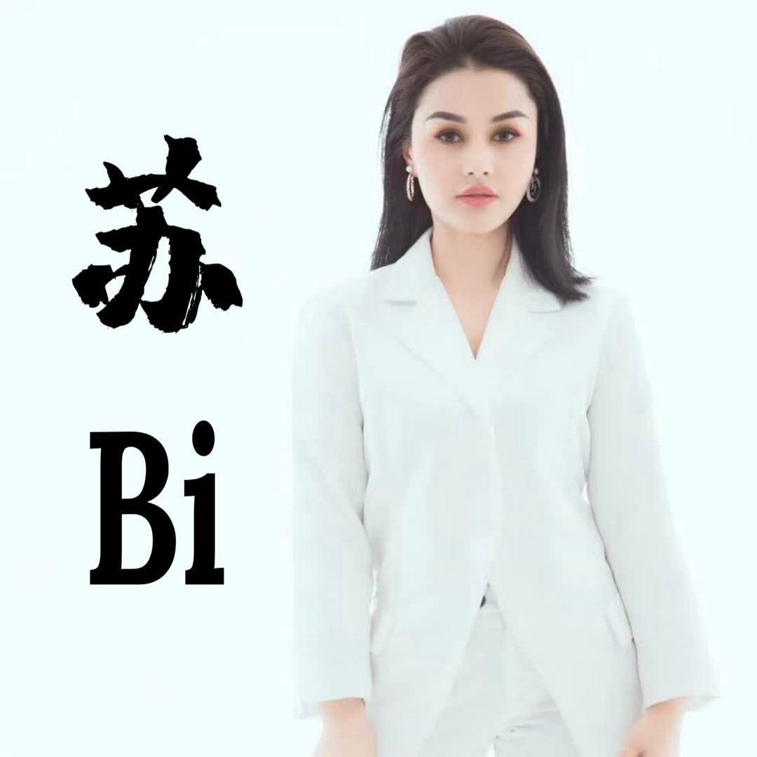 苏Bi·1号
