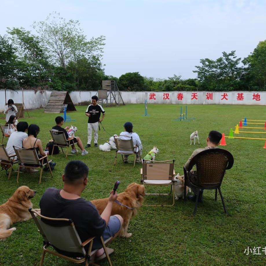 武汉训犬基地