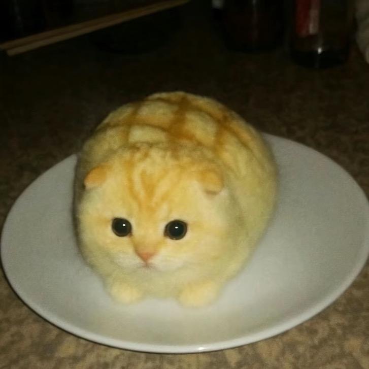 0007