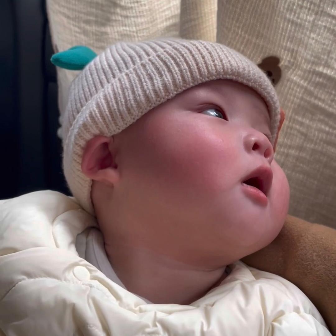 瑞宝麻麻