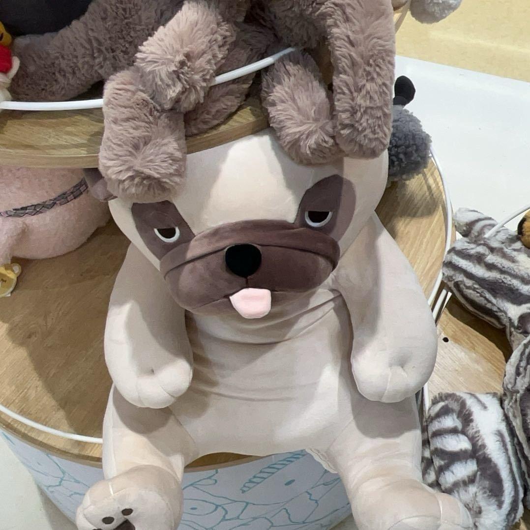 谨川（全品类收货 线报）