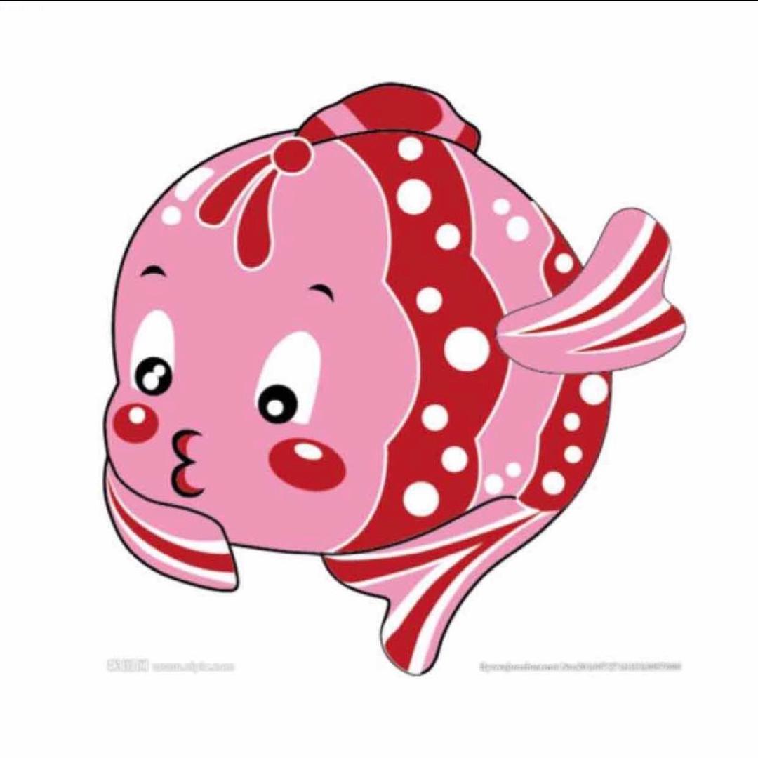 🐠🐟🐟🐟