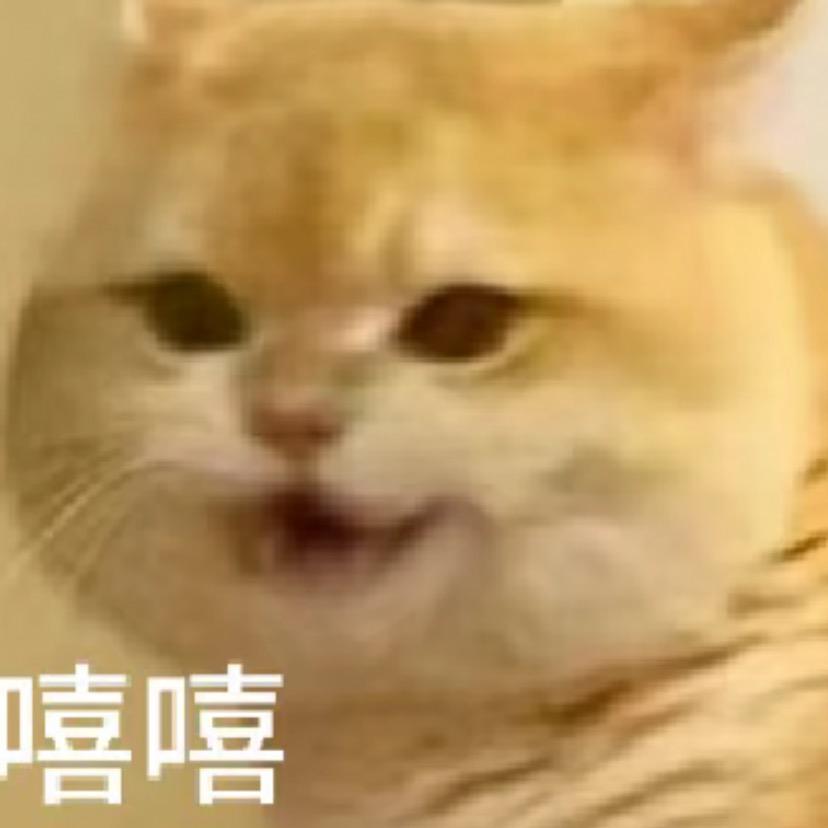 哆哆旺