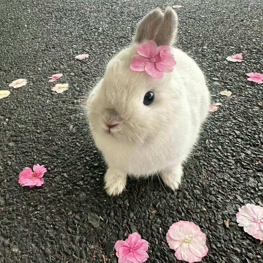 早睡不会掉头发