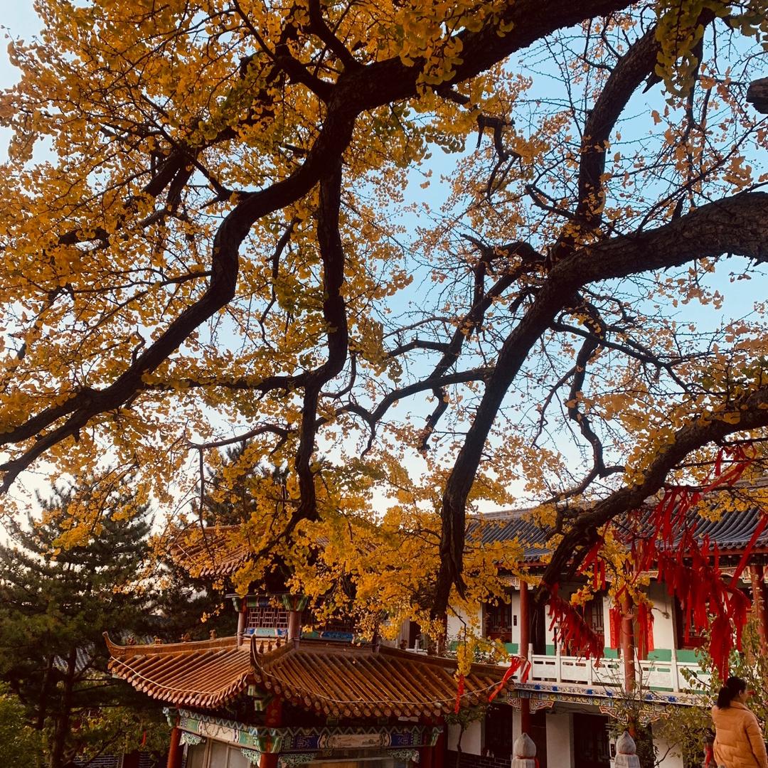 小心情⭐