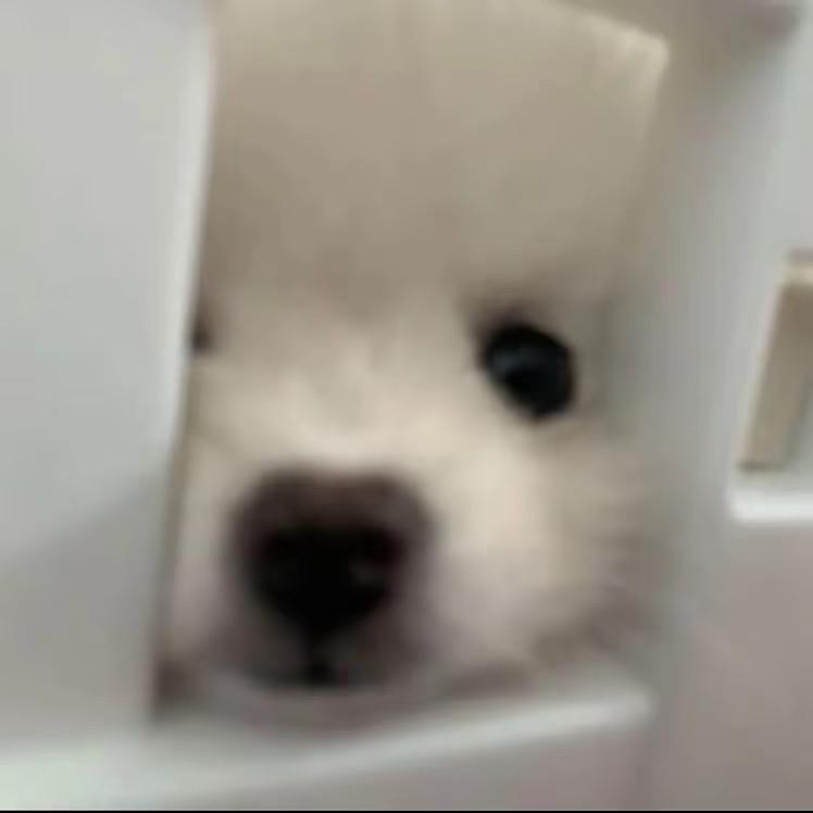 拖拖