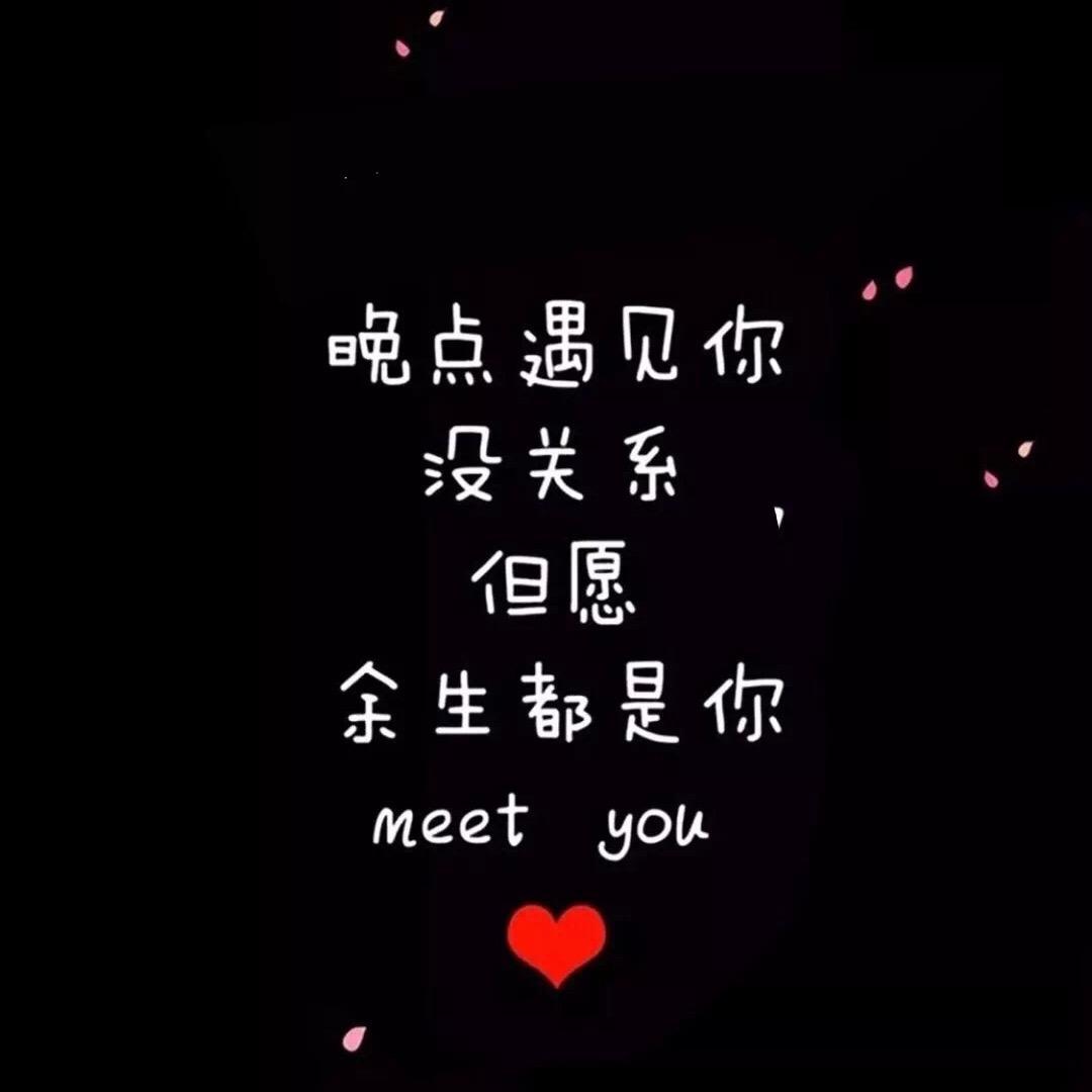 爱摸鱼的猫