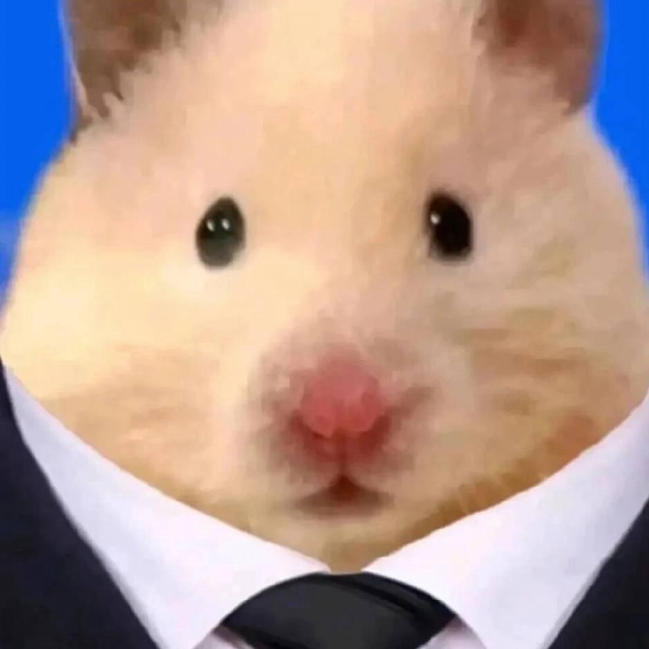 AAA蛋挞批发树总