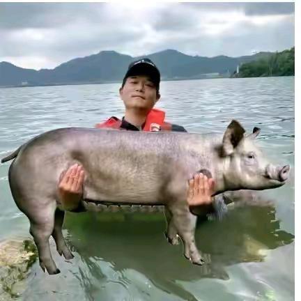 天远邓刚  你的关注