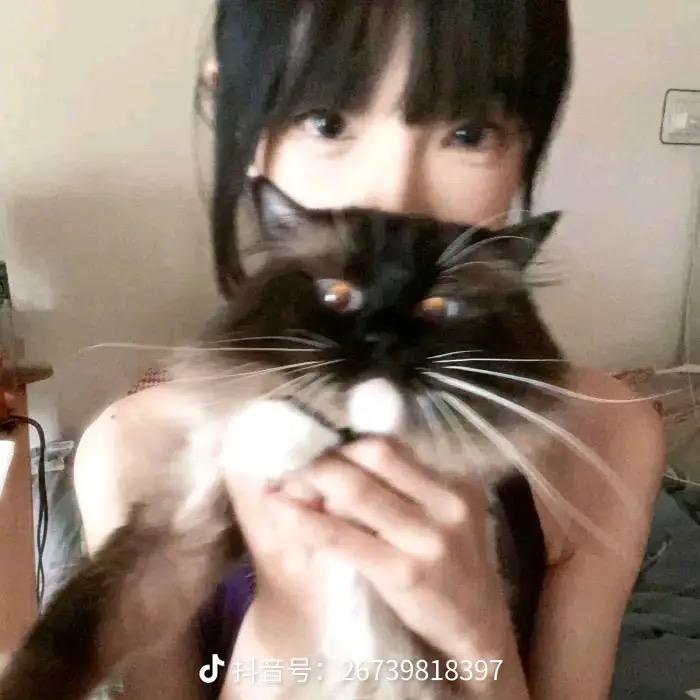 蛋糕🍰心事