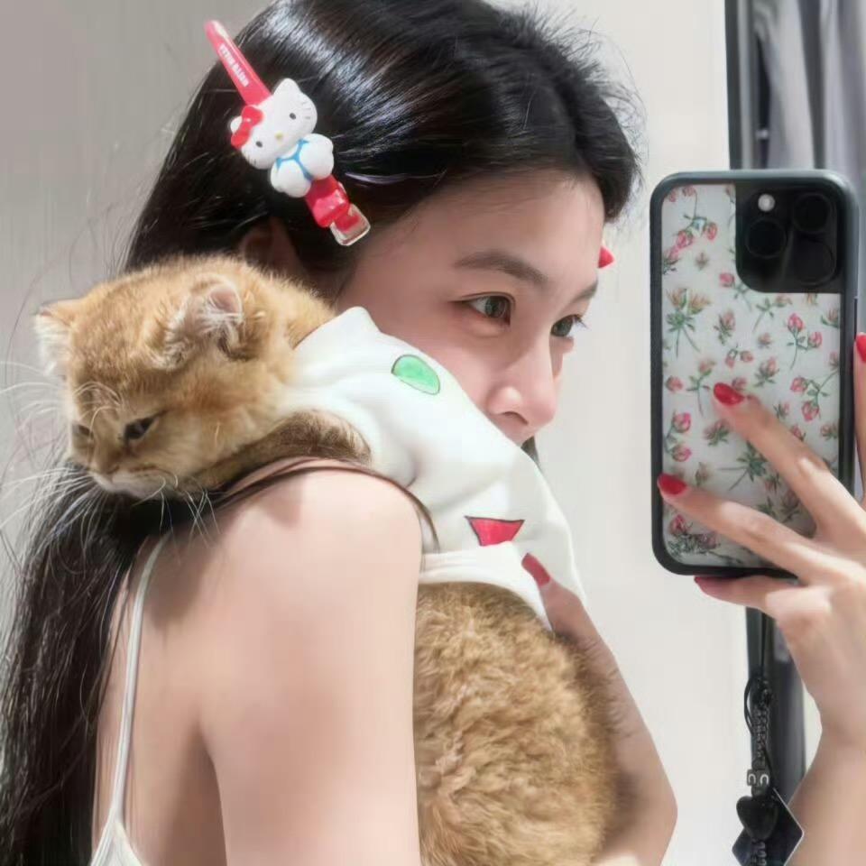 胖鱼