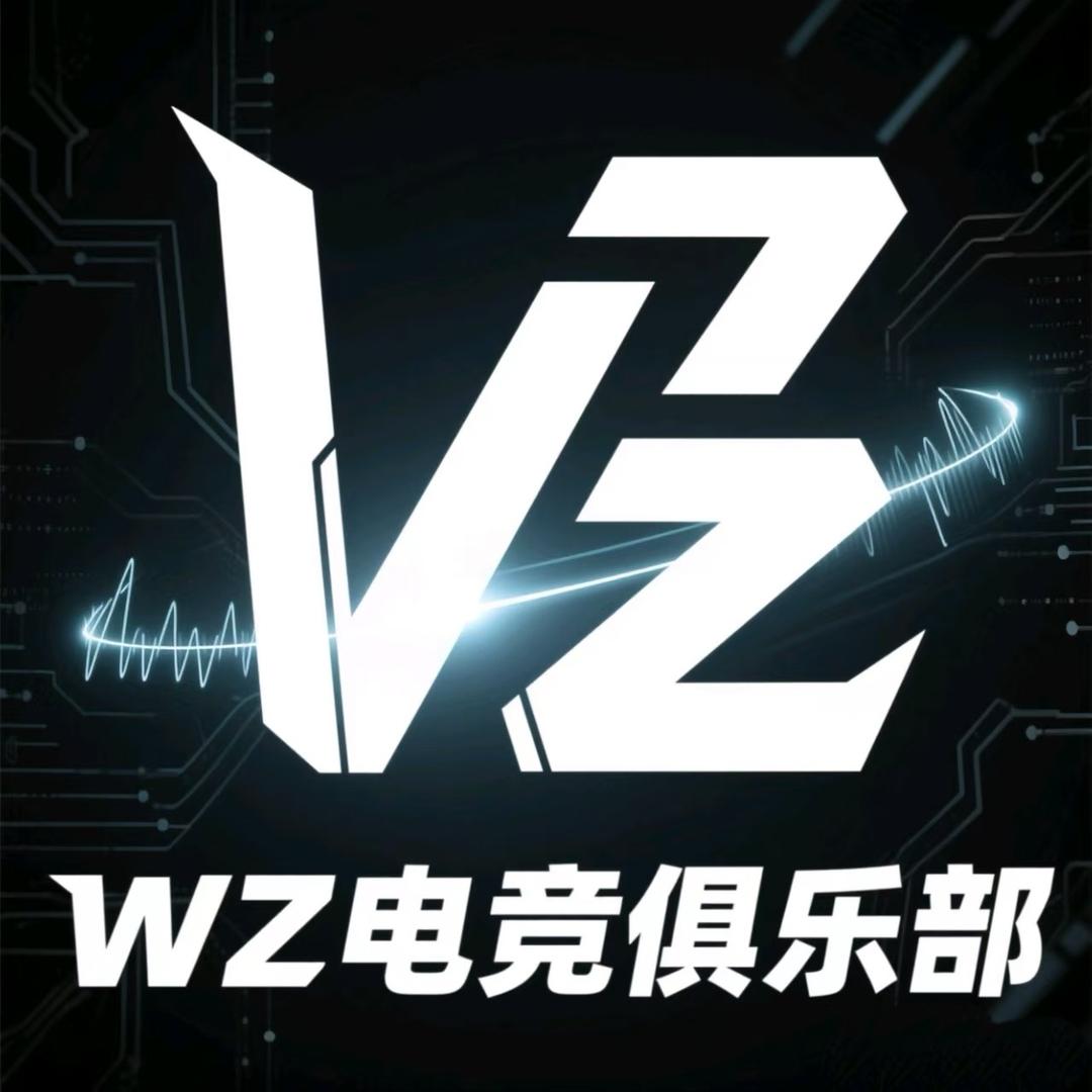Wz电竞俱乐部（三角洲）