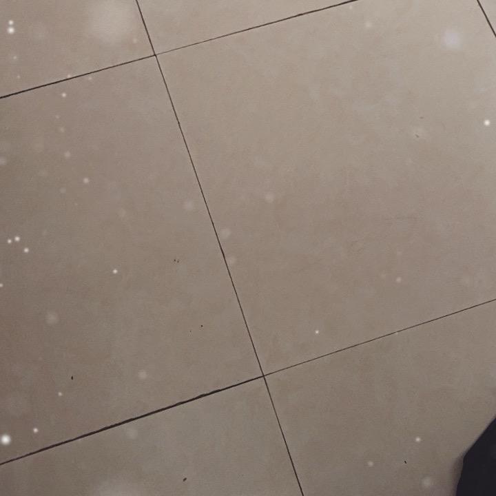 用户8686