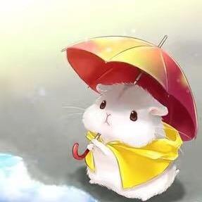 忘年v
