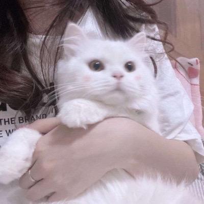 浅浅一笑 🌻