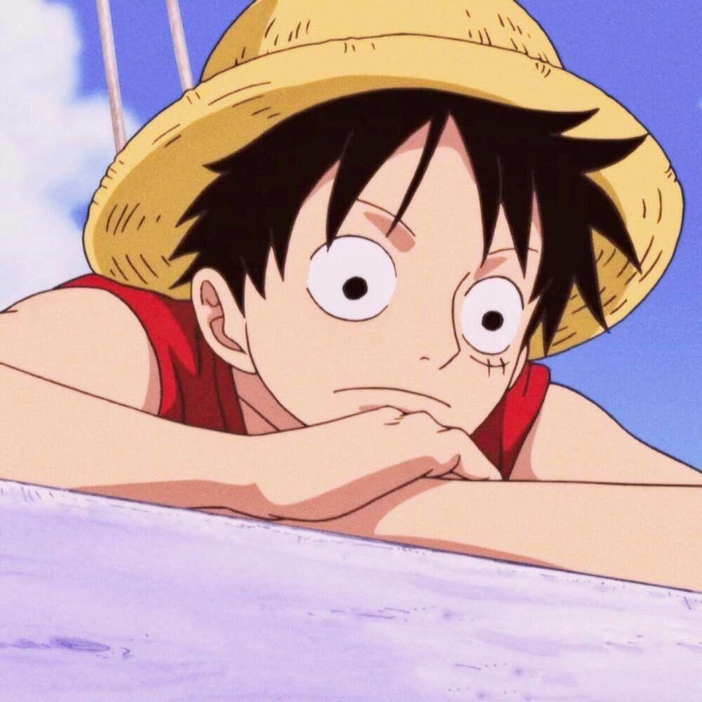 索公子