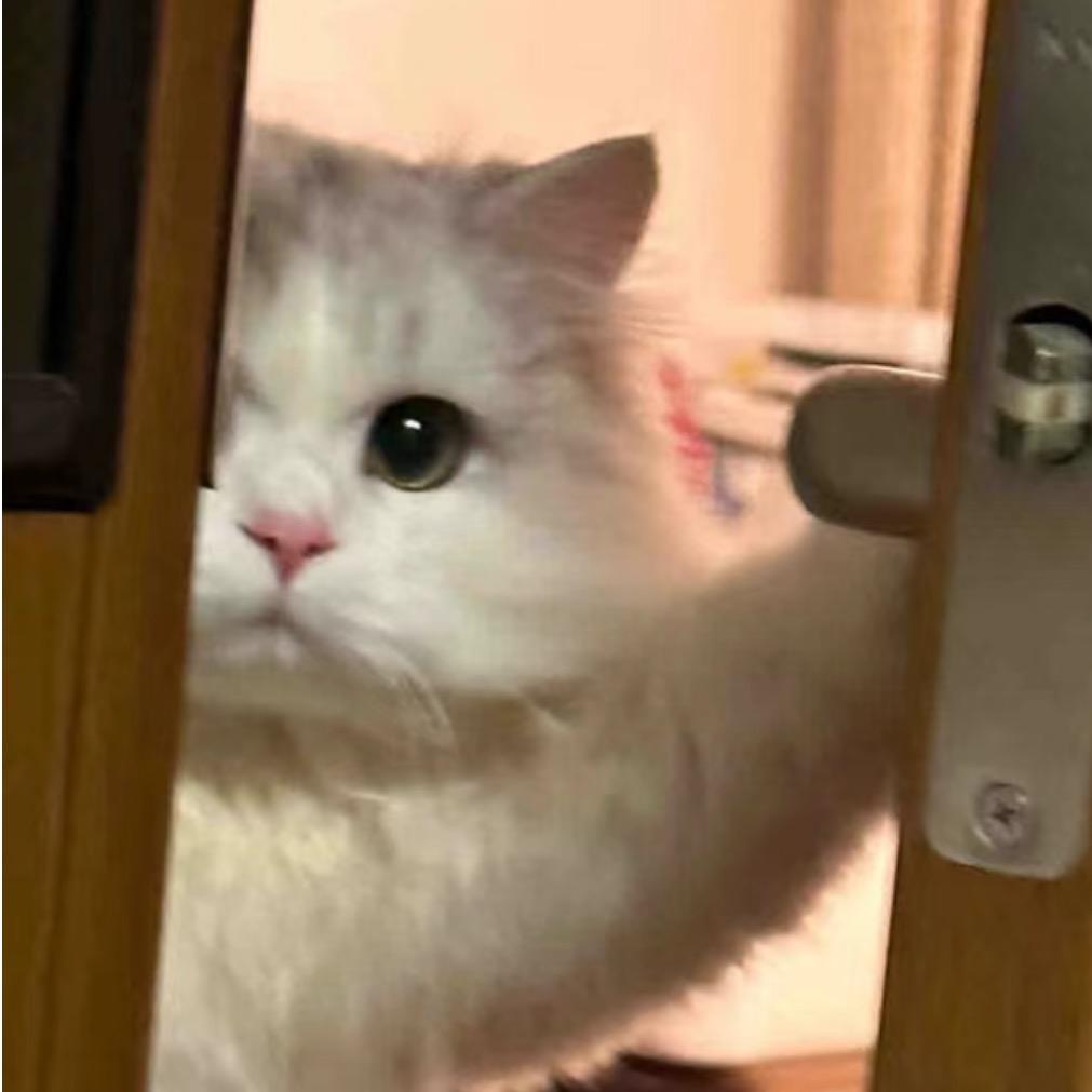 猫了个叔（全明星街球派对）