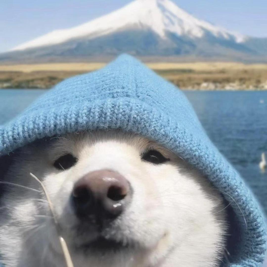 高产