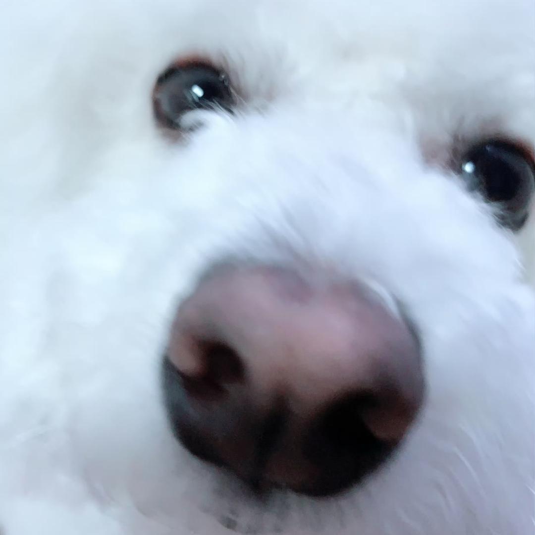 没啤气le🐾