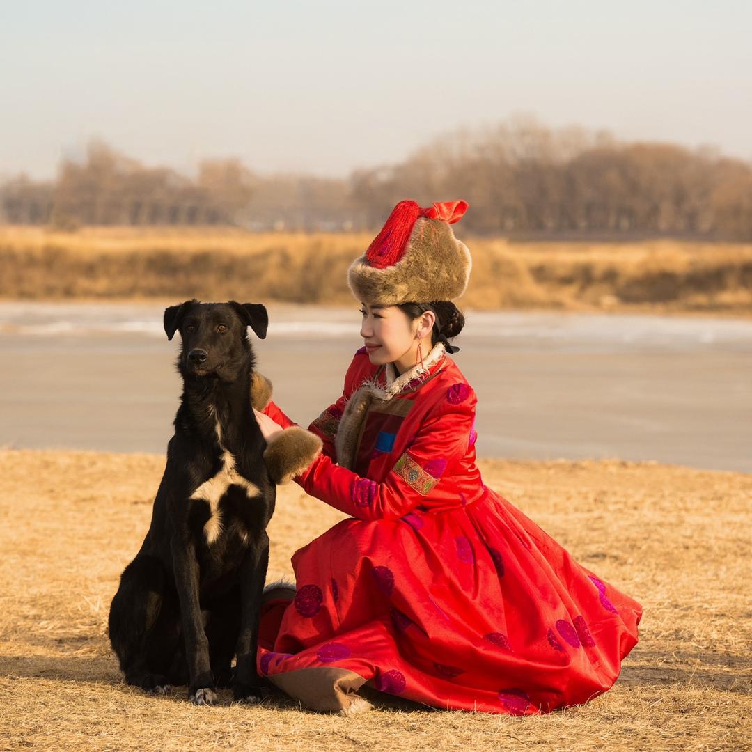 草原的礼物 云团团