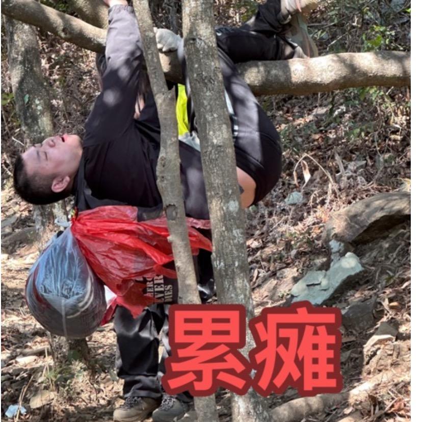 龙哥哥