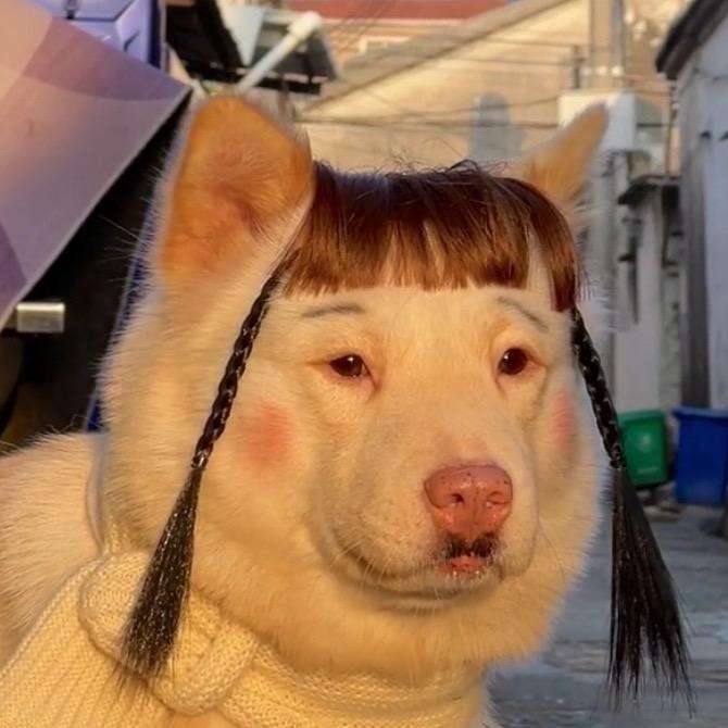 程程