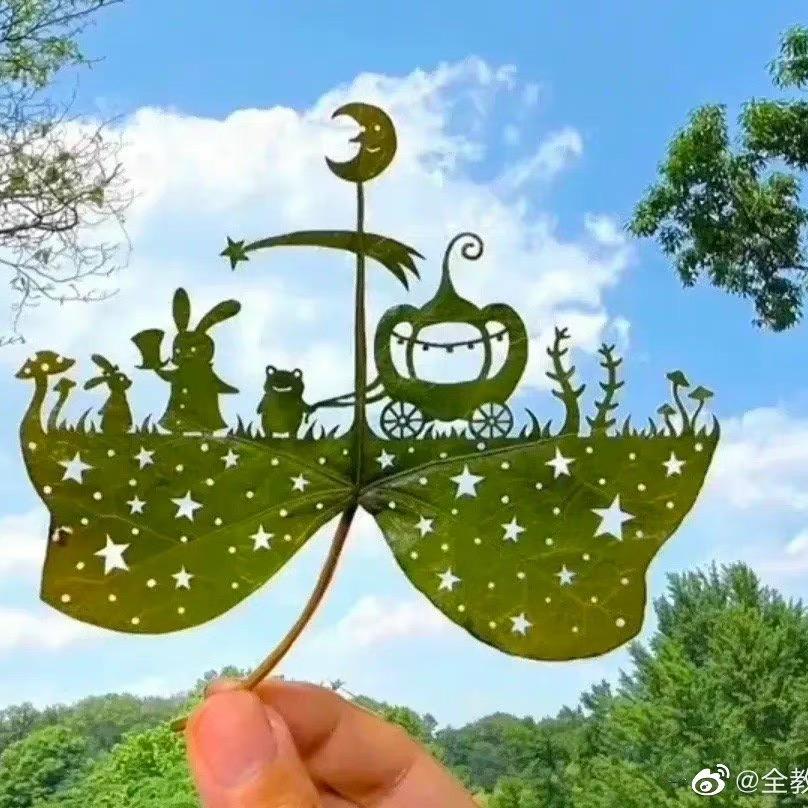 小涵涵
