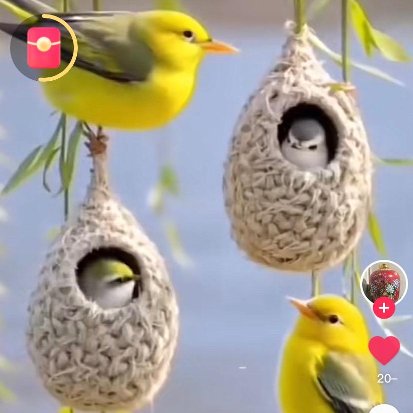 🍂এ᭄如初ོ࿐ᩚ🍁