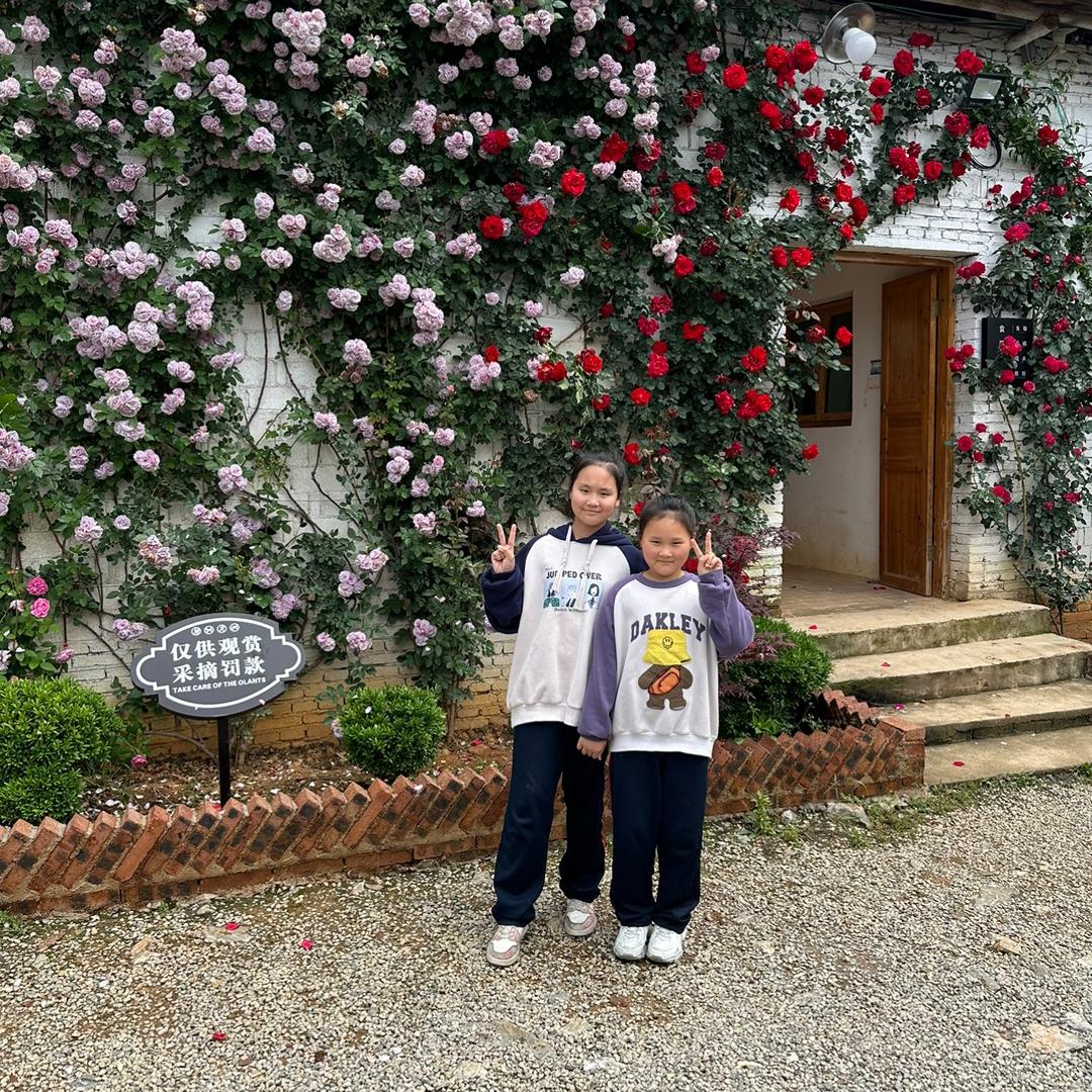 心之所向，势之所趋。