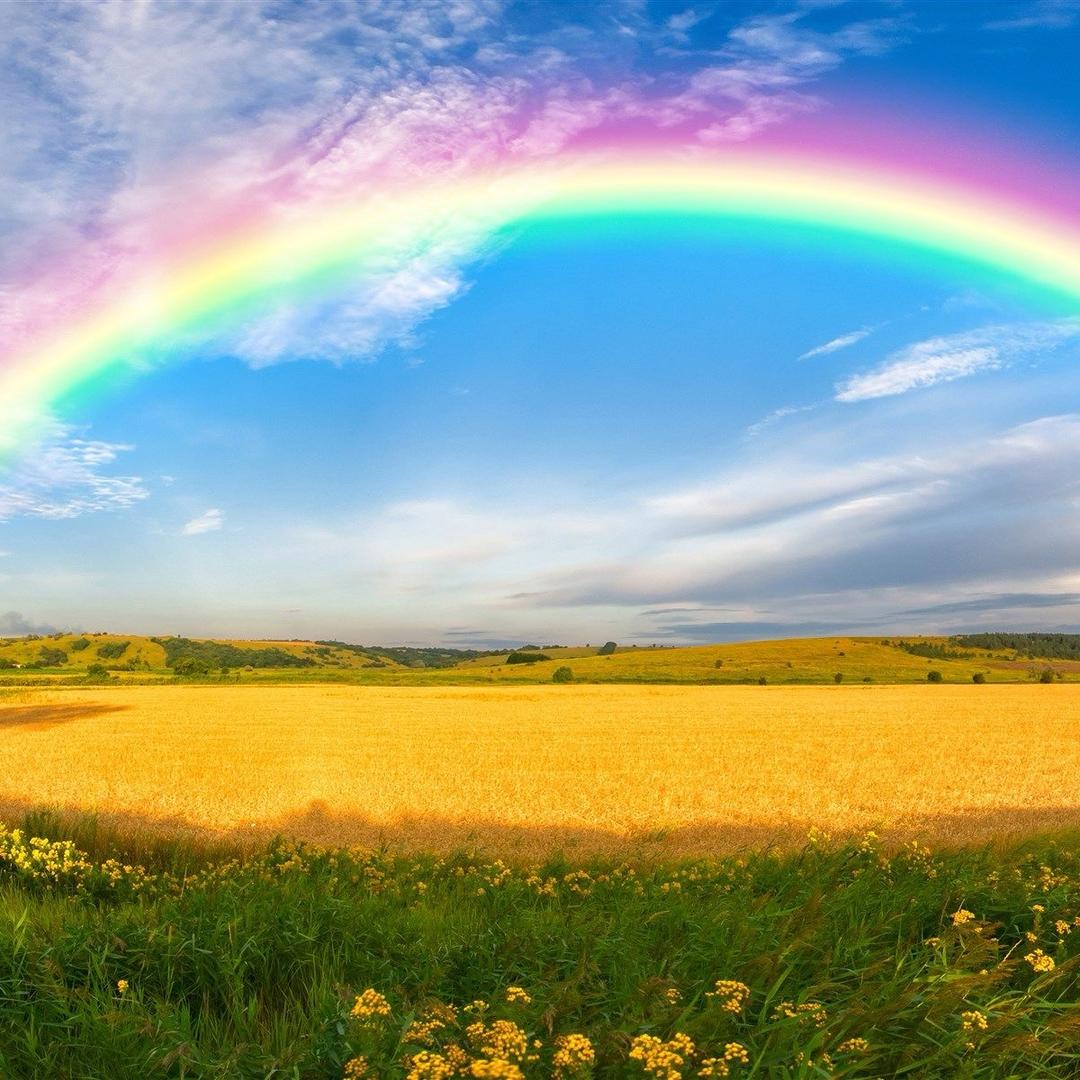 🌈🪅🪅🪅🌈