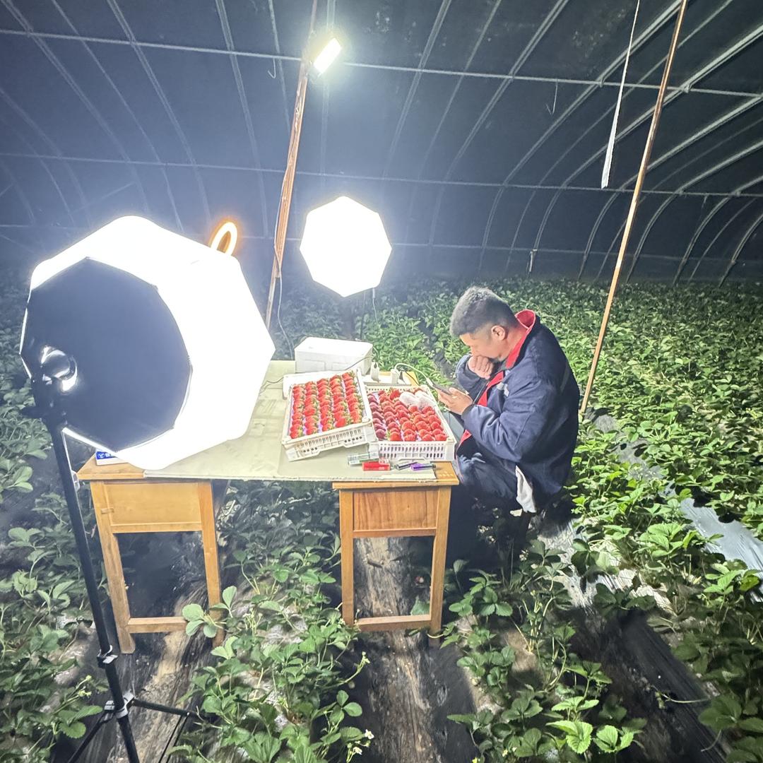 胖哥俩草莓农场