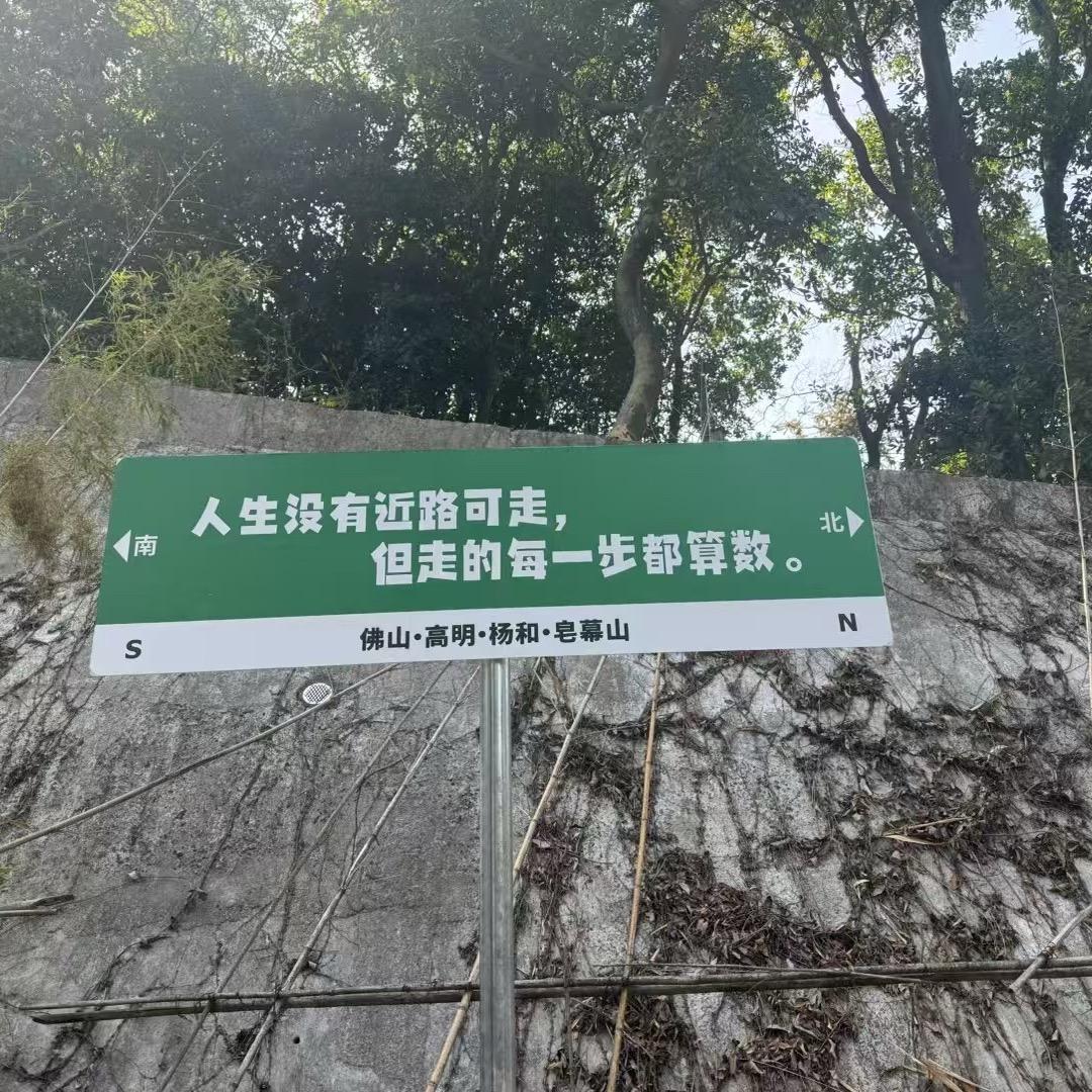 50205561780