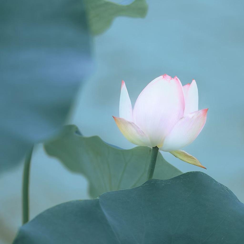 用户56839003126878