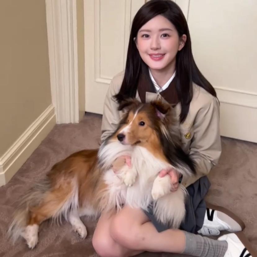 我只有一个贺