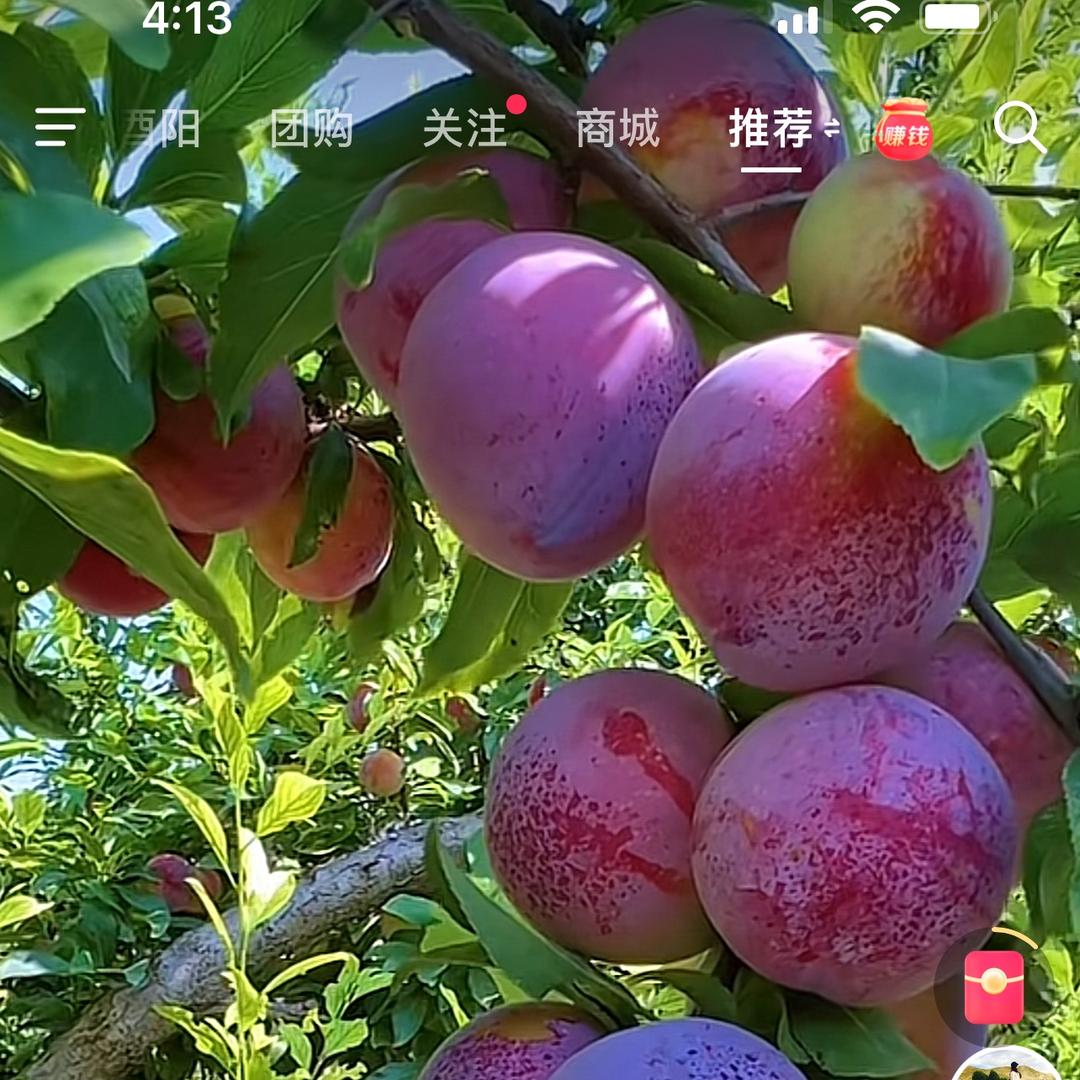 好运🌈连连
