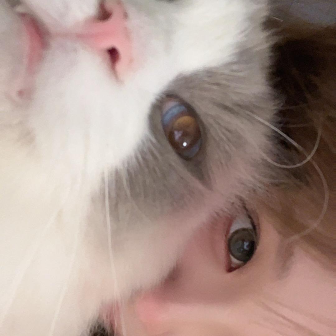 不知道叫什么名字的