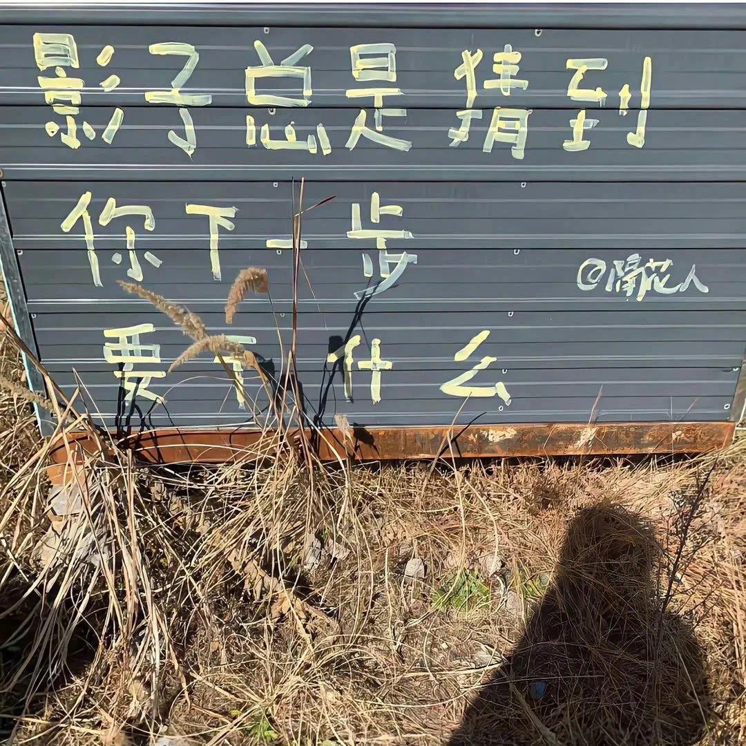 GoNg🕶